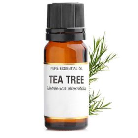 Tea Tree Essential Oil 10ml